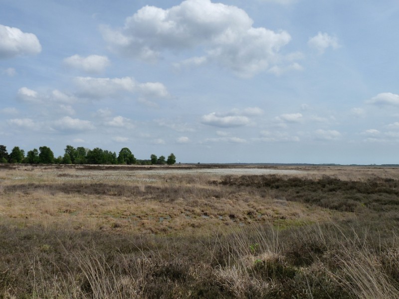 20090509-133350.jpg